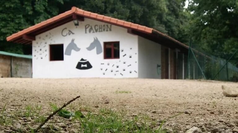 Ca’Pachón Centro Canino – residencia canina en Asturias