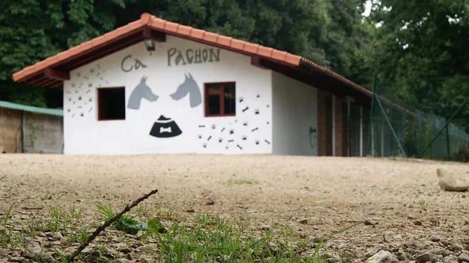 Ca’Pachón Centro Canino – residencia canina en Asturias