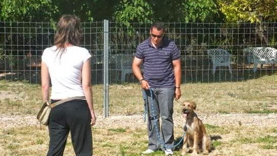 Residencia Canina Camada Boni – residencia canina en Madrid