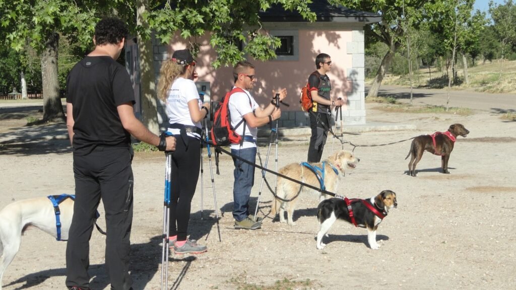 Residencia Canina Campamento de Mascotas – residencia canina en Toledo