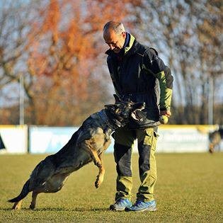 can brutus
