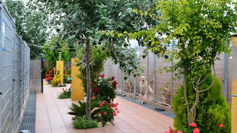 Residencia Canina Can Fauna – residencia canina en Tarragona