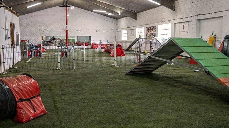 Centro Canino Canedupo Lugo – residencia canina en Lugo