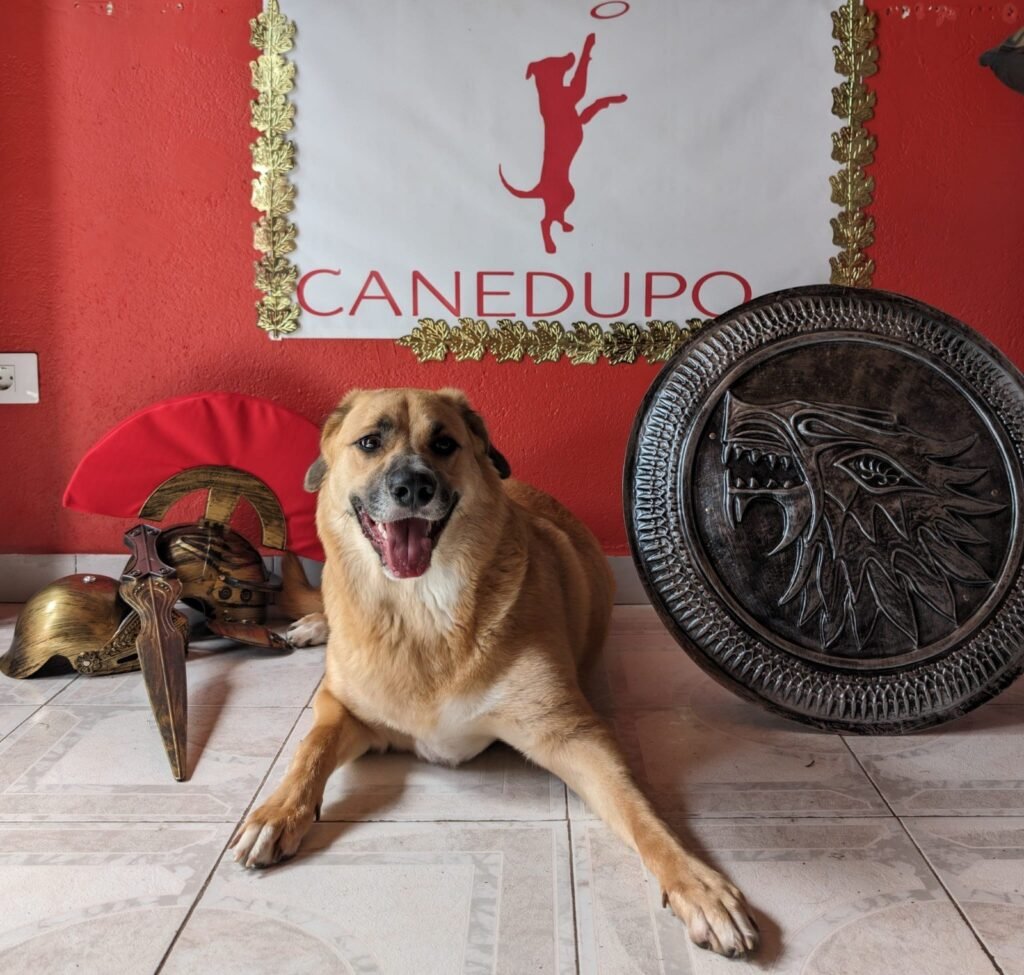canedupo