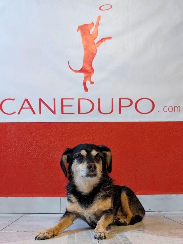 canedupo