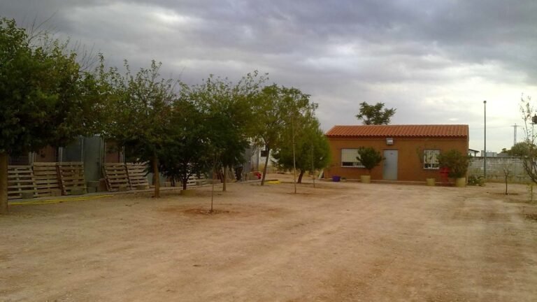 canela de sta ana