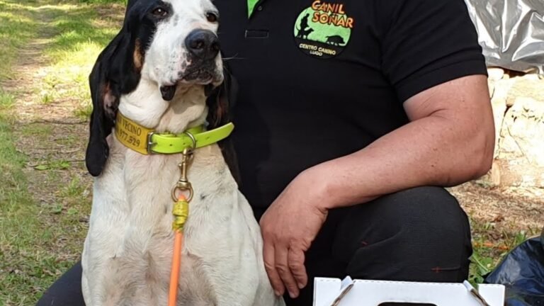 Centro Canino Canil Soñar – residencia canina en Lugo