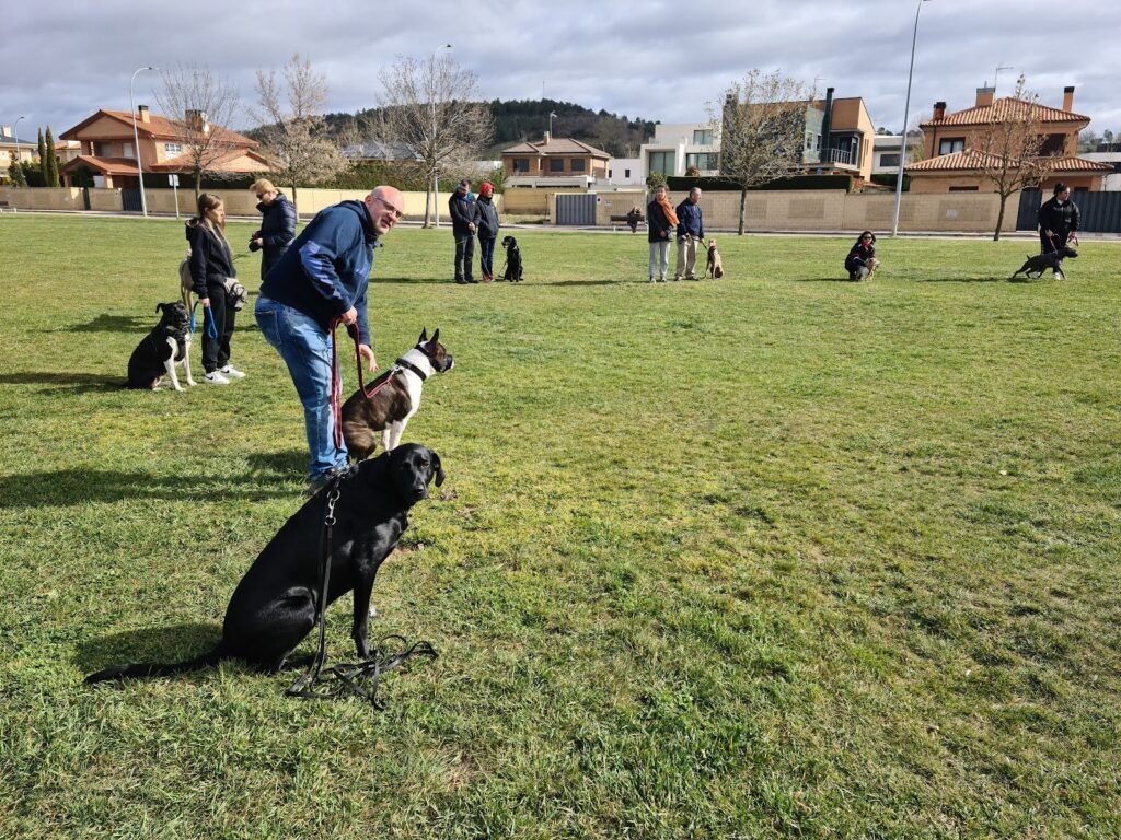 canis club león