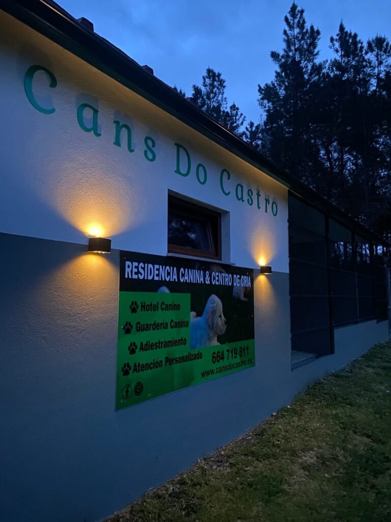 cans do castro
