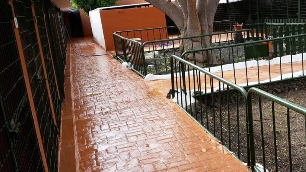 Residencia Canina Canservan Canarias – residencia canina en Las Palmas