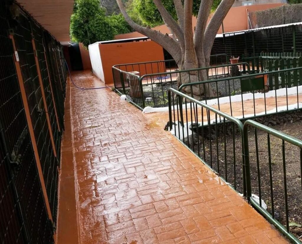 canservan canarias