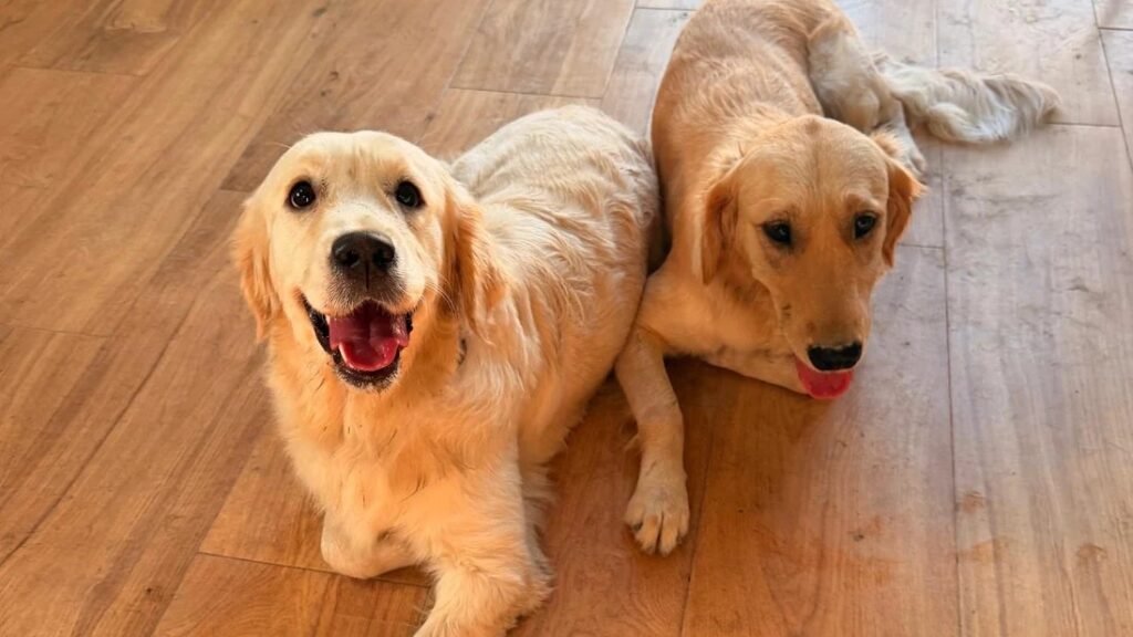 Carmen | Cuidadora Canina – residencia canina en Almería
