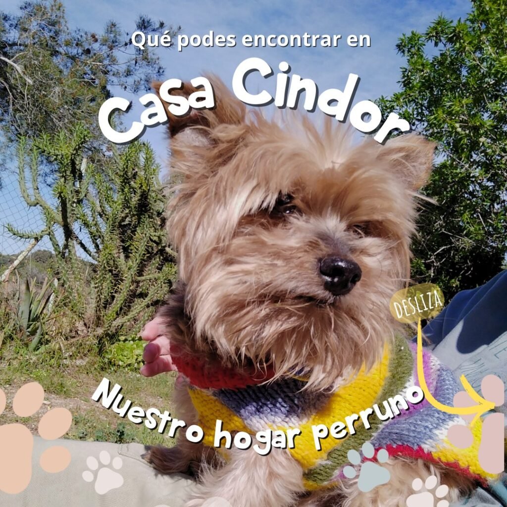 casa cindor