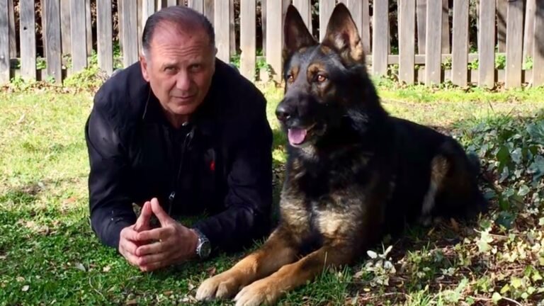 Residencia Canina CCAM99 – residencia canina en Madrid