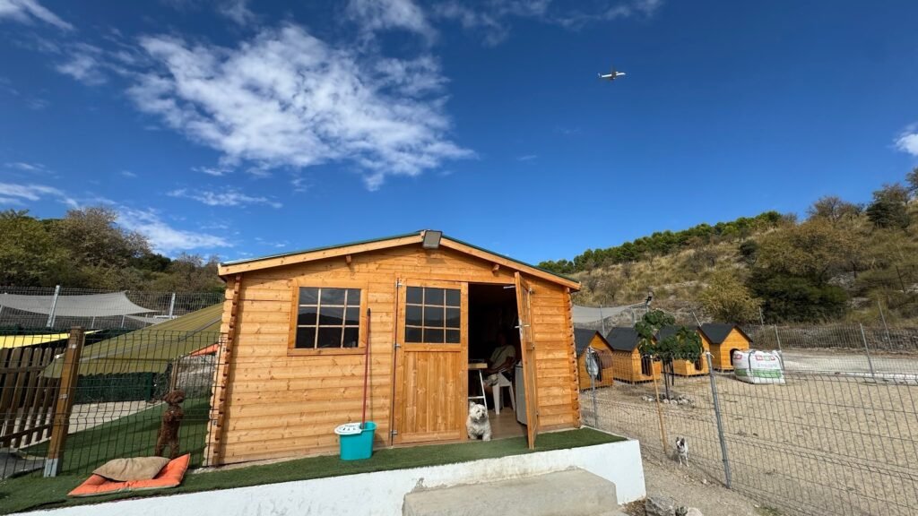 Residencia Canina Central Pets – residencia canina en Madrid