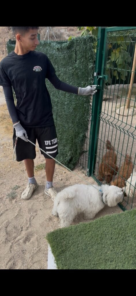 central pets