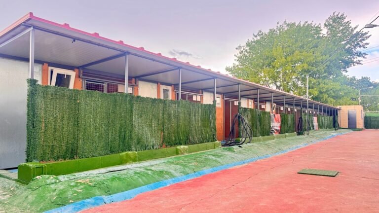 Centro Canino Aragonés – residencia canina en Zaragoza