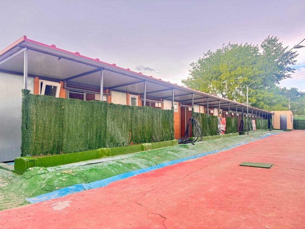 centro canino aragonés