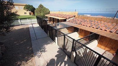 Centro Canino Golden House – residencia canina en Santa Cruz de Tenerife