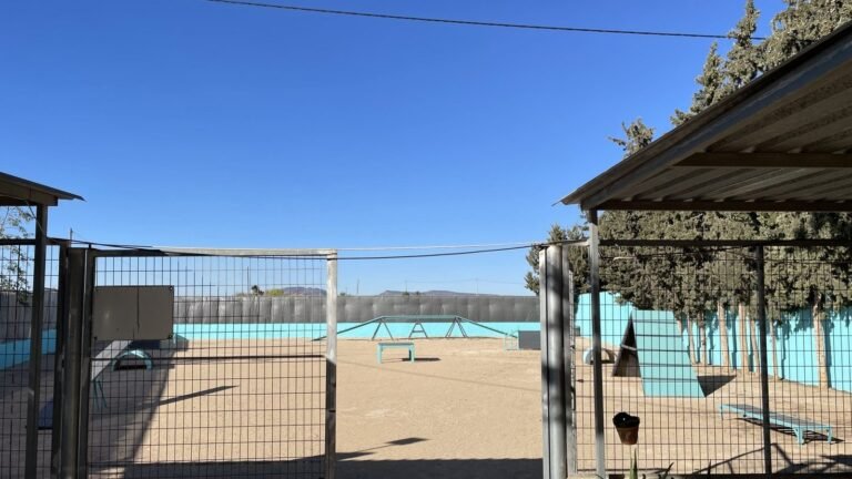 Centro Canino Los Árboles – residencia canina en Murcia
