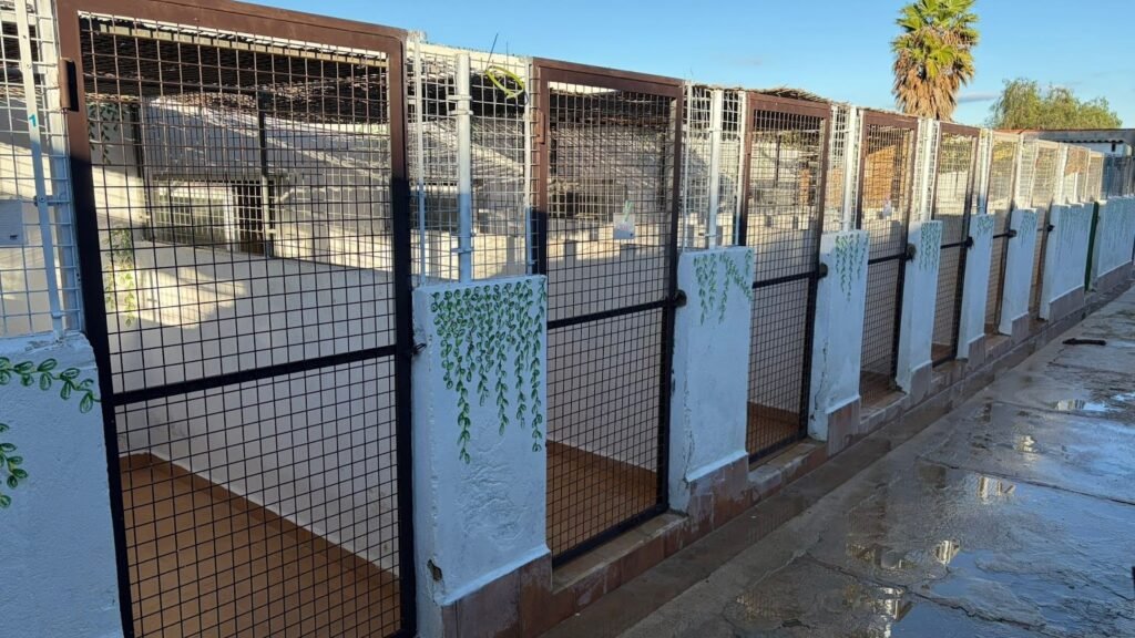 Residencia Canina Chichet – residencia canina en Valencia