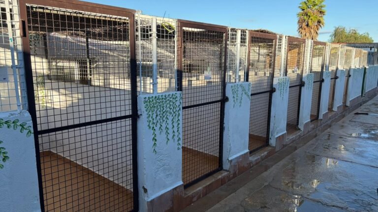 Residencia Canina Chichet – residencia canina en Valencia