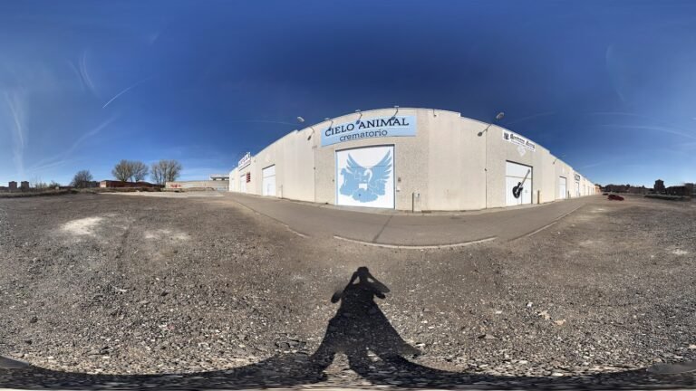 cielo animal