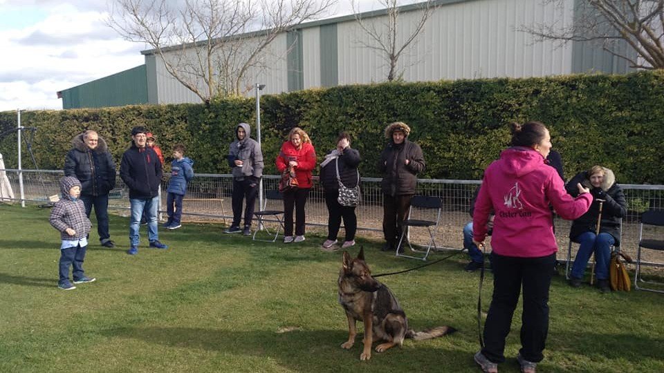 Residencia Canina CísterCan – residencia canina en Valladolid