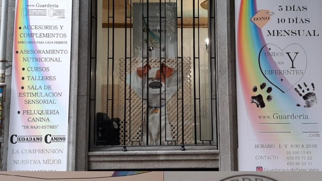 ciudadano canino