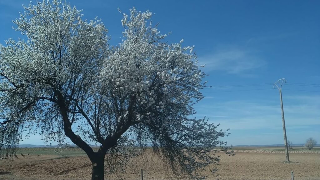 Residencia Canina Conde Can – residencia canina en Toledo