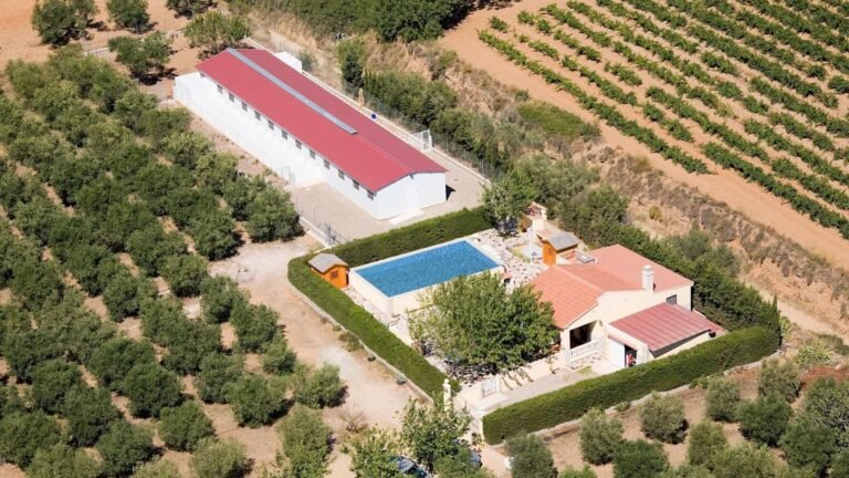 Residencia Canina Cotonlier – residencia canina en Tarragona