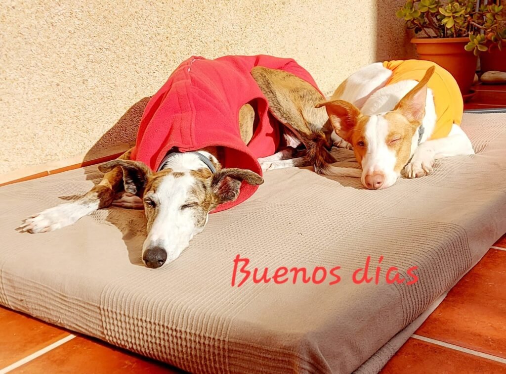 creciendo juntos