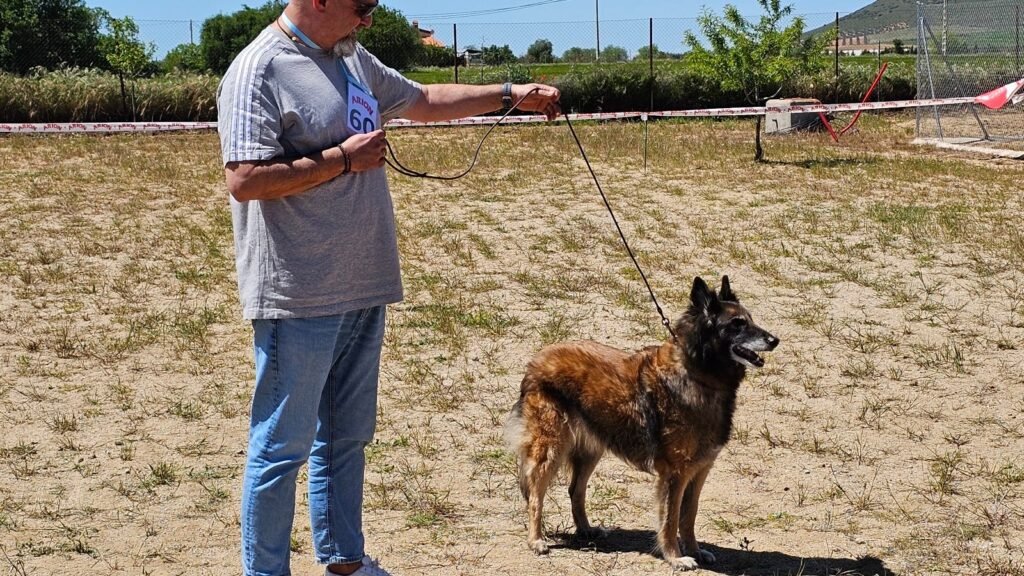 Residencia Canina D’Aquivelt – residencia canina en Toledo