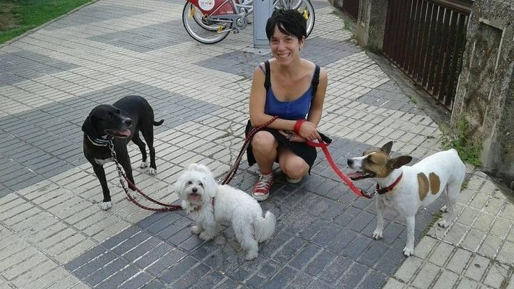Guardería Canina Días de Perros – residencia canina en Sevilla