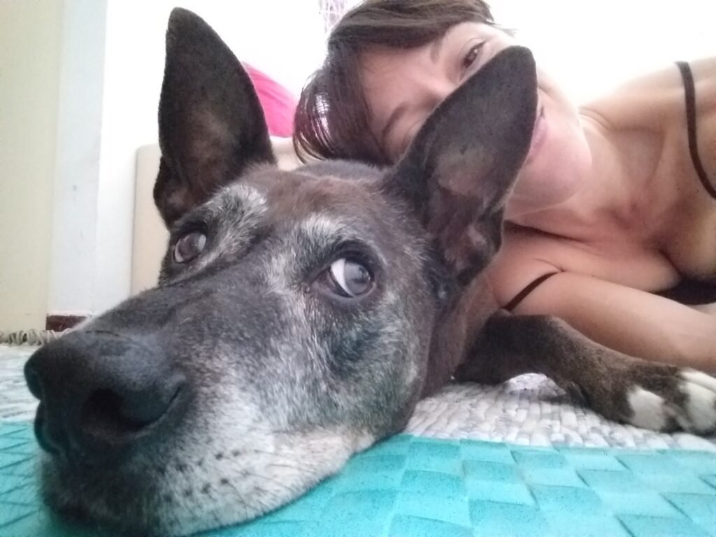 días de perros