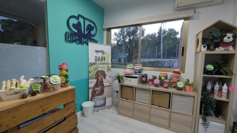 Guardería Canina Días Perros – residencia canina en Madrid