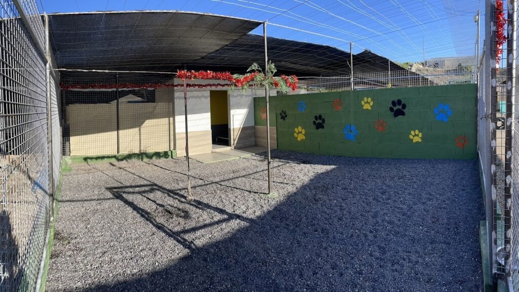 Hotel Canino Diggers Den – residencia canina en Santa Cruz de Tenerife