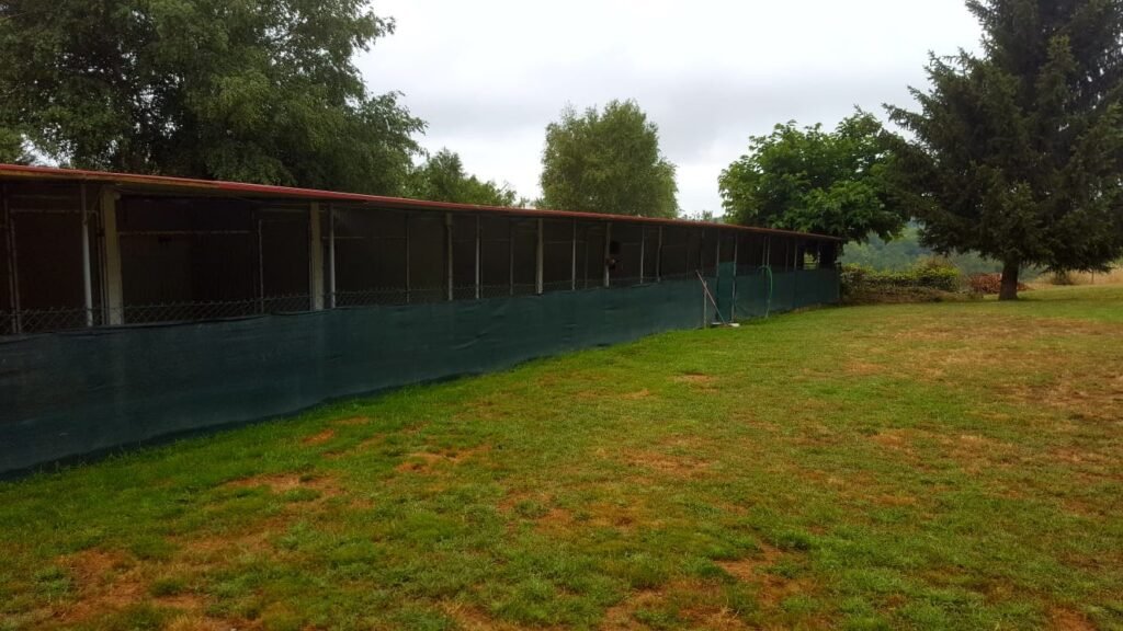 Residencia Canina Do Castelo – residencia canina en Ourense