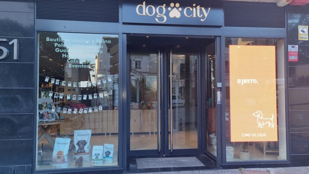 Residencia Canina Dog City – residencia canina en Málaga