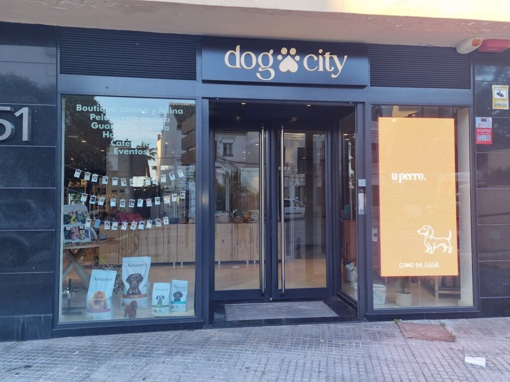 dog city