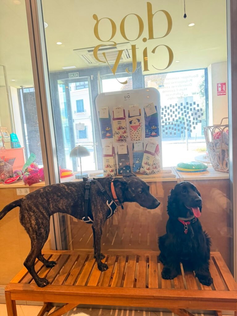 dog city