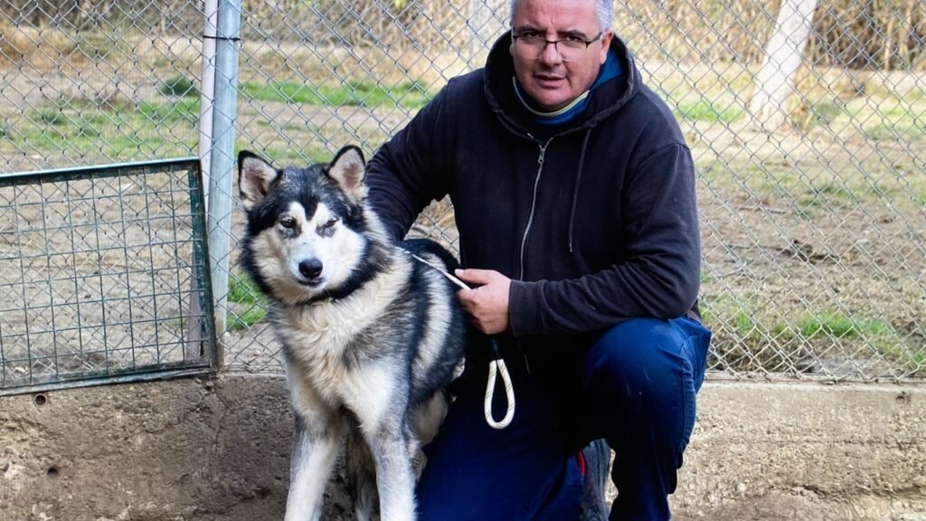 Centro Canino Dog Garden – residencia canina en Zaragoza