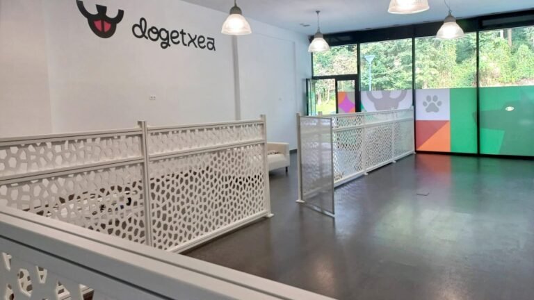 dogetxea