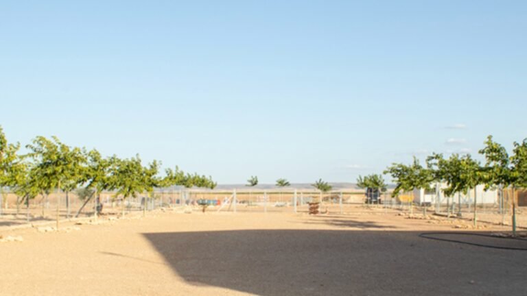 Centro Canino Doggy – residencia canina en Albacete