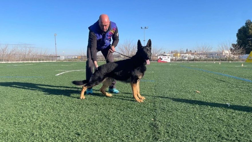 Residencia Canina Dogquijote – residencia canina en Toledo