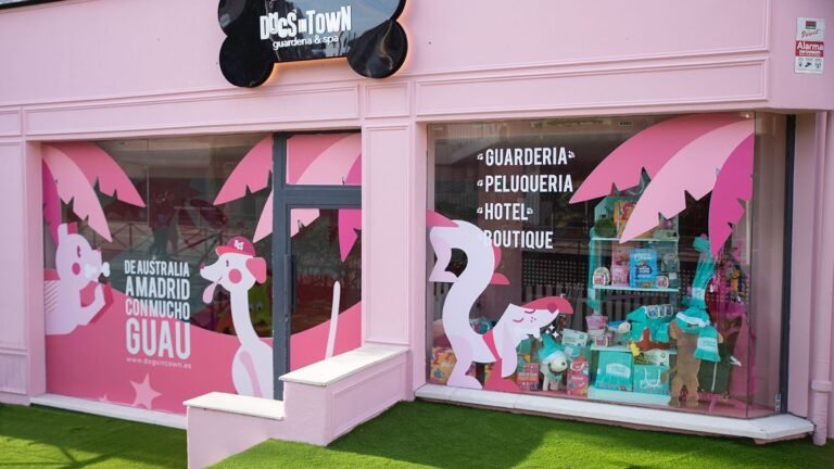 Hotel Canino Dogs In Town – residencia canina en Madrid