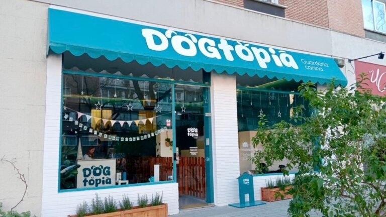 Guardería Canina Dogtopia – residencia canina en Madrid