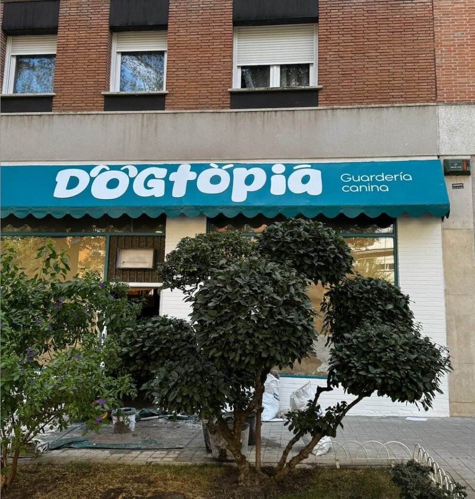 dogtopia