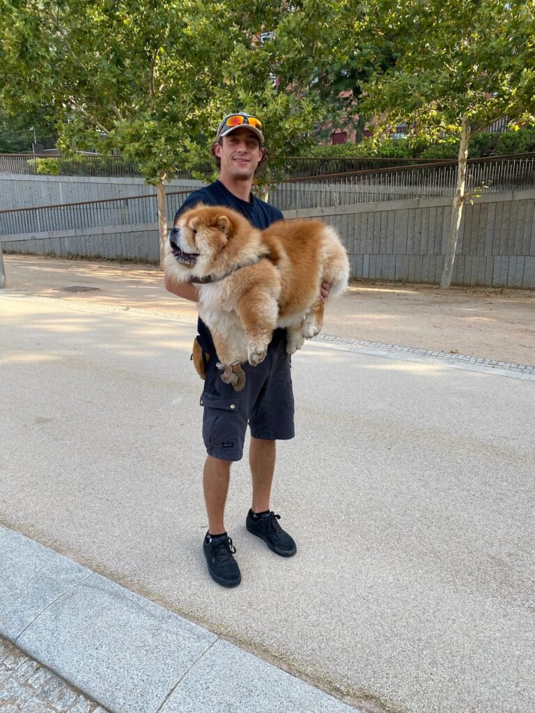 educandog