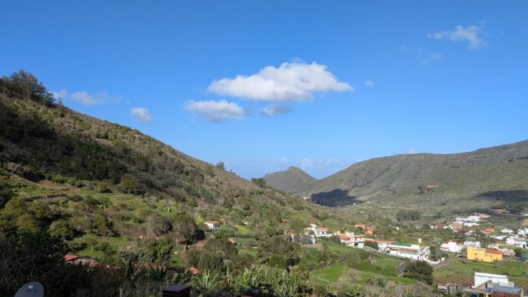 Hotel Canino El Jardín de las Mascotas – residencia canina en Santa Cruz de Tenerife
